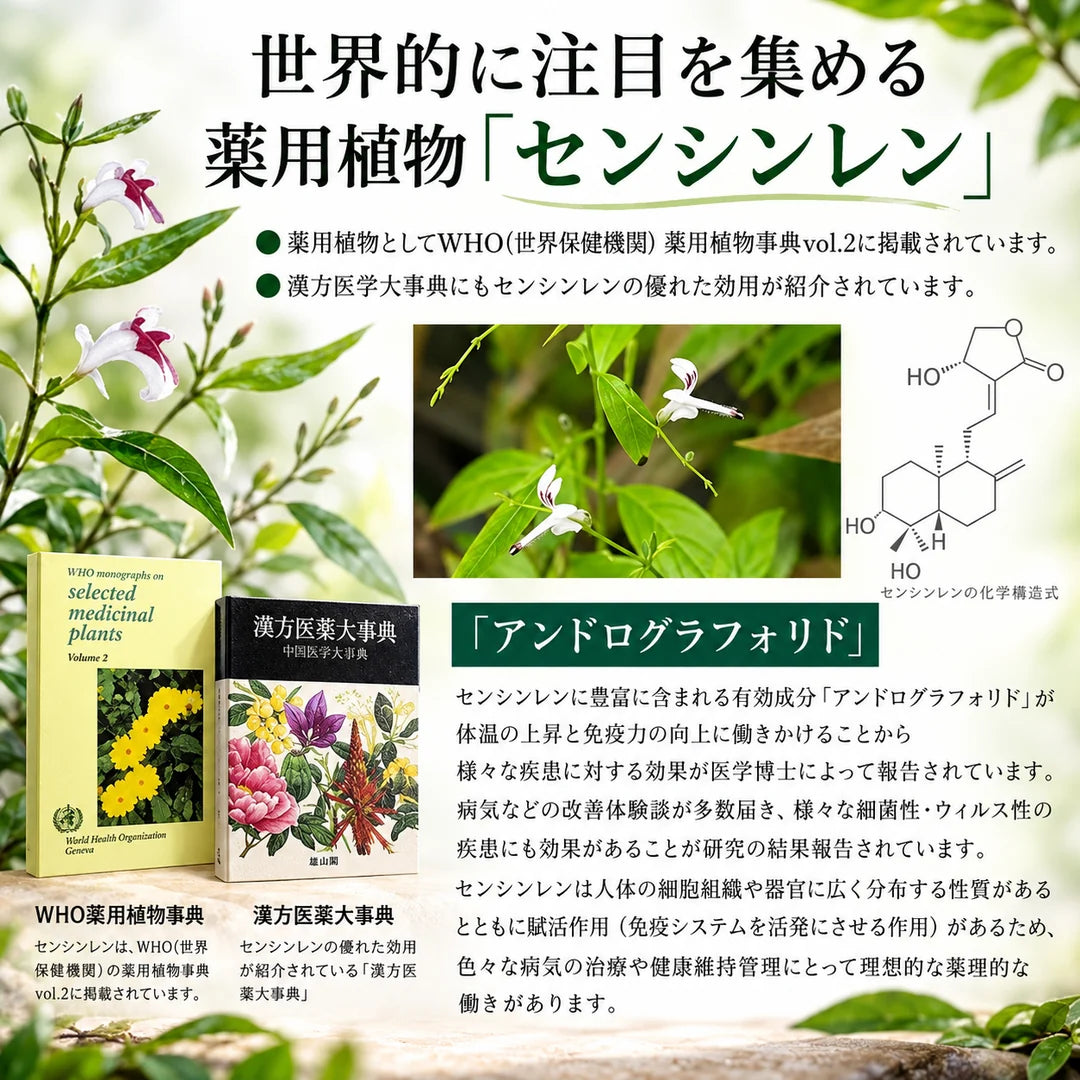Dr.Musuvia 日本製